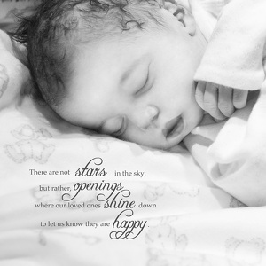 Team Page: Gracie's Team